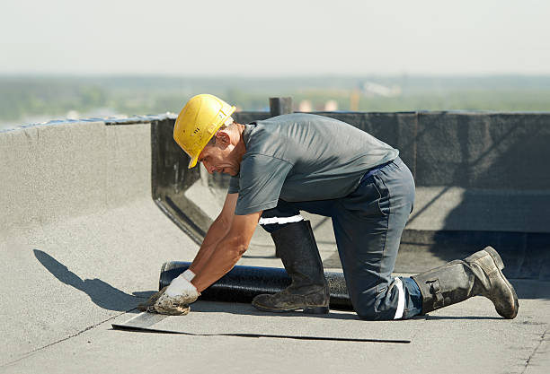 Best Geographic-Specific Insulation Services in Elliston, VA